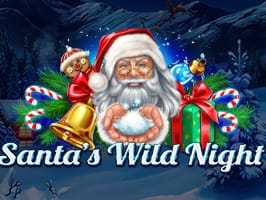 Santas Wild Night screenshot